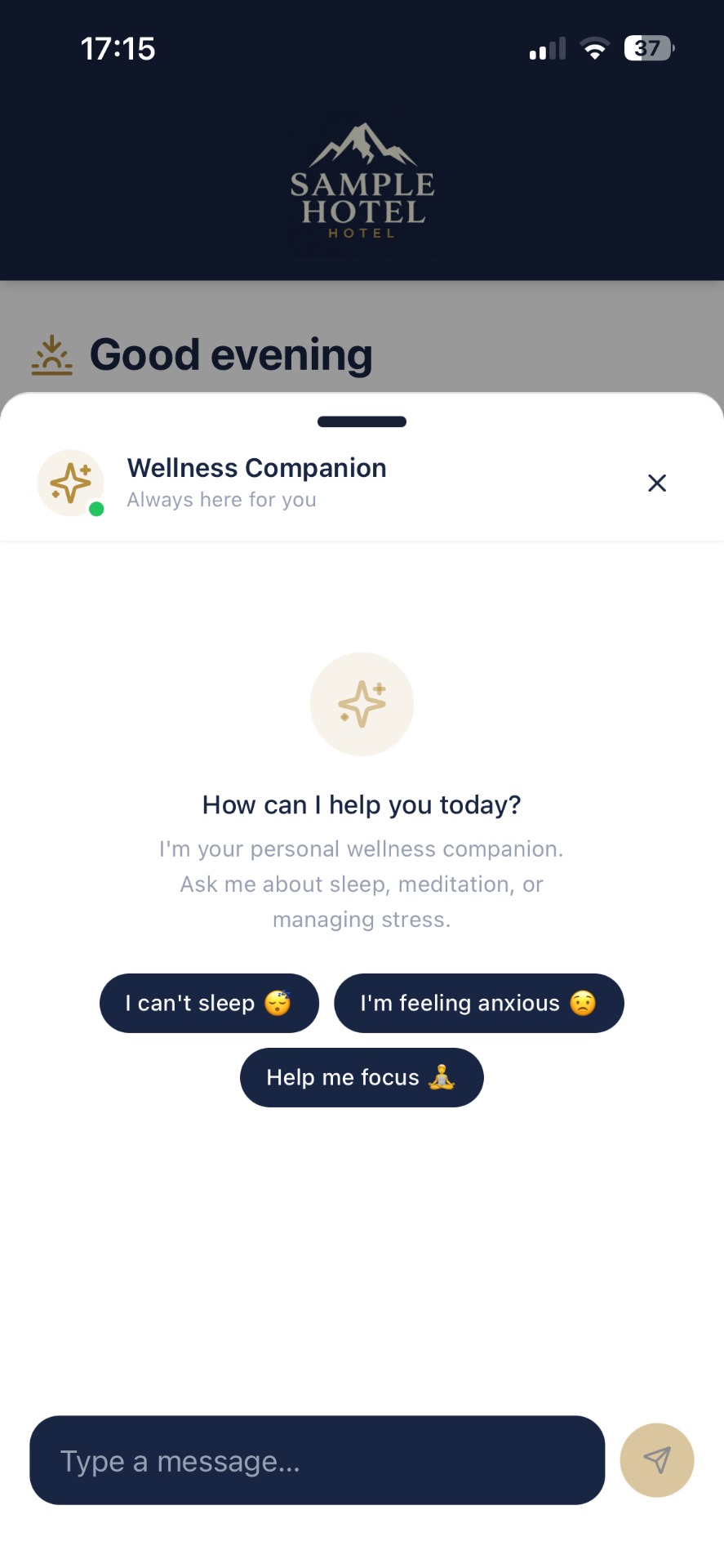 Gillie AI Companion chat interface